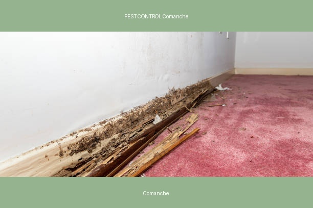 PEST CONTROL Comanche